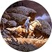 Cowboy on horse Spare Tire Cover