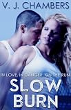 Slow Burn (Assassins)