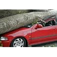 Auto Insurance Primer'