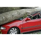 Auto Insurance Primer'