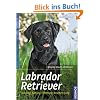 Labrador Retriever: Auswahl, Haltung, Erziehung, Besch�ftigung