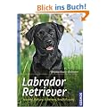 Labrador Retriever: Auswahl, Haltung, Erziehung, Besch�ftigung