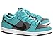 Nike Men's Dunk Low Pro SB Skate Shoe