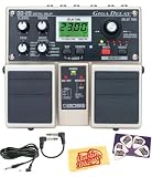 Boss DD-20 Giga Delay Guitar Pedal Bundle with 10-Foot Instrument Cable, Patch Cable, Pick Card, and Polishing Cloth