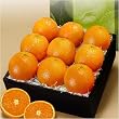 California Navel Oranges