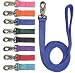 Double Nylon Lead Neon Pink 6'