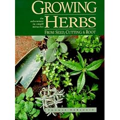 Growing Herbs from Seed, Cutting and Root: An Adventure in Small Miracles