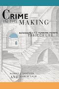 Crime in the Making: Pathways and Turning Points through Life