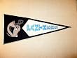 Carolina Panthers - NFL Football Classic (Pennants)