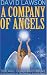 Company of Angels: Your Angel Transformation Guide at Amazon Books: 51PZ9RPWZJL._SL75_