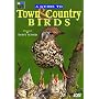 A Guide To Town And Country Birds