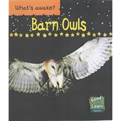 Barn Owls  (Read & Learn)