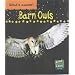 Barn Owls  (Read & Learn)