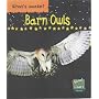 Barn Owls  (Read & Learn)