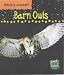 Barn Owls