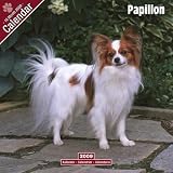 Papillon 2009 Wall Calendar 12 X 12