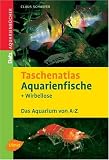 Taschenatlas Aquarienfische und Wirbellose: Das Aquarium von A - Z