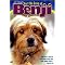 Discover Doggie Fun (and More) For Everyone