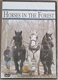 Horses in the Forest 