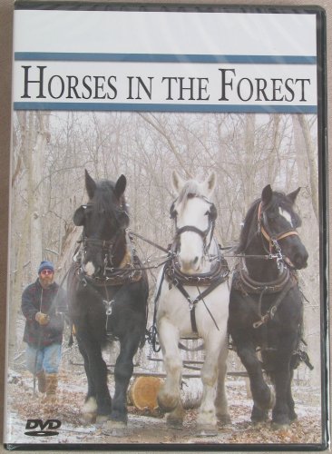 Horses in the Forest