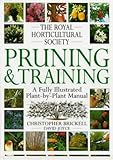 Pruning & training