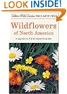 Wildflowers of North America: A Guide to Field Identification (Golden Field Guide from St. Martin's Press)