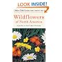 Wildflowers of North America: A Guide to Field Identification (Golden Field Guide from St. Martin's Press)