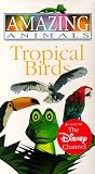 Amazing Animals - Tropical Birds [VHS]