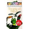 Buy Amazing Animals - Tropical Birds [VHS]