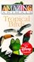 Amazing Animals - Tropical Birds [VHS]