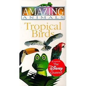 Amazing Animals - Tropical Birds [VHS]