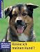 Third Party New : Kenne ich meinen Hund? Mit Tests und praktischen Checklisten