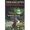 Dreamgates: Exploring the Worlds Of Soul, Imagination, and Life Beyond Death