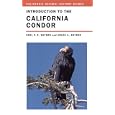 Introduction to the California Condor (California Natural History Guides) by  Noel F. R. Snyder and Helen A. Snyder