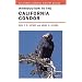 Introduction to the California Condor (California Natural History Guides)