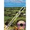 learn how to play the Irish tin whistle?