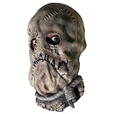 Adult Scarecrow Mask