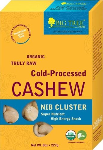 cashew tree