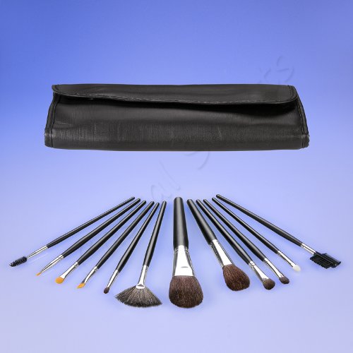 Coastal Scents 13 Piece Brush Set