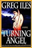Turning Angel: A Novel