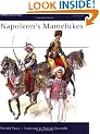 Napoleons Mamelukes (Men-at-arms)