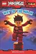 LEGO Ninjago Reader #1: Way of the Ninja