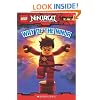LEGO Ninjago Reader #1: Way of the Ninja