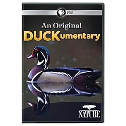 Nature: An Original Duckumentary