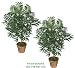 TWO 3' Artificial Bamboo Palm Trees, with No Pot,