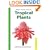 Handy Pocket Guide to Tropical Plants
