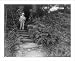 Historic Print (L): Samuel Langhorne Clemens, 1835-1910, full length, standing on steps of path, facing righ