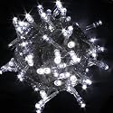 100 LED Fairy Light String Christmas Holiday Lights for Room Garden Home Decoration (White)