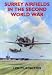 Surrey Airfields in the Second World War