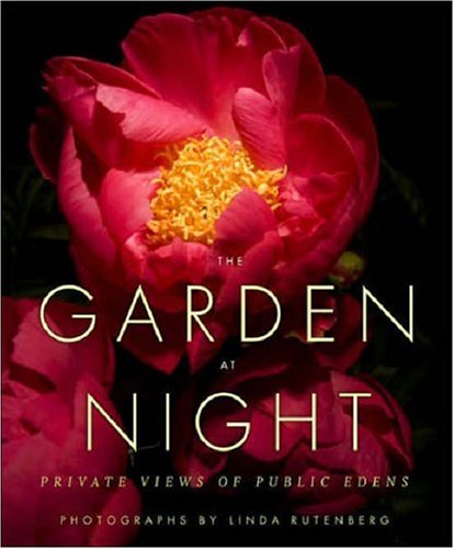 Garden at Night